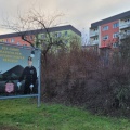 Bild 3 -7.Januar 2025