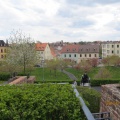01 2016 Plümicke - Plümickestein