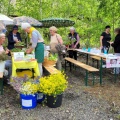 Bild 18 (1.6.2025) - Impressionen  vom Tag