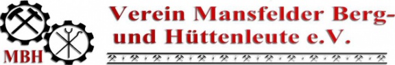 vmbh logo 1