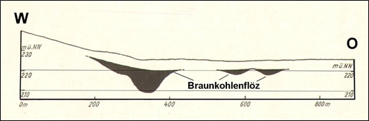 Profil Braunkohlenlagerstätte des Sulfattypus.jpg